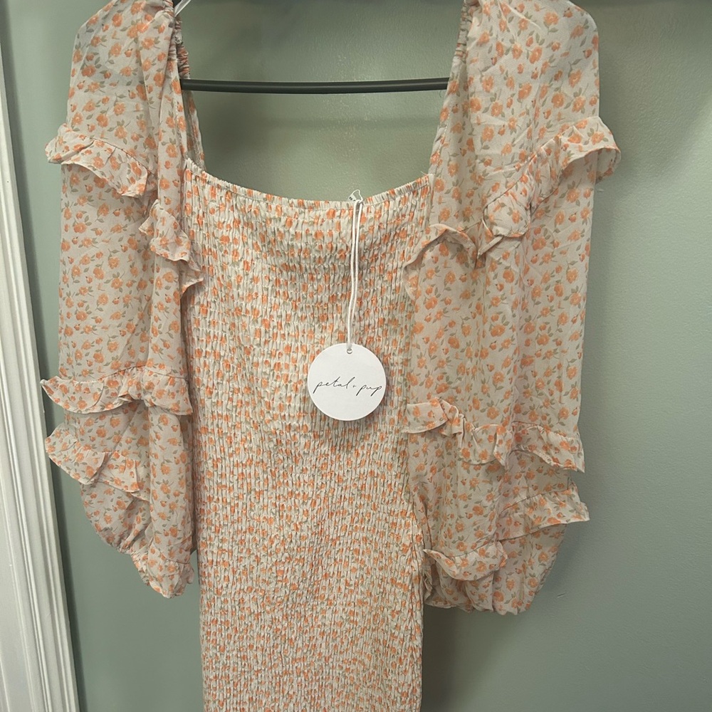 NWT Petal & Pup Leia Dress